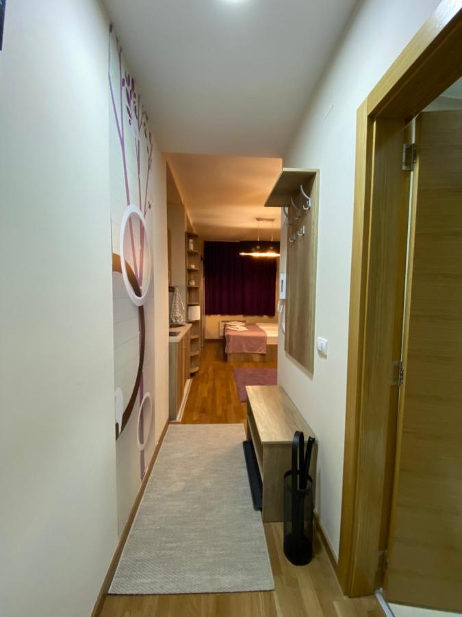 Sanstef Studio Zlatibor Eksteriør billede